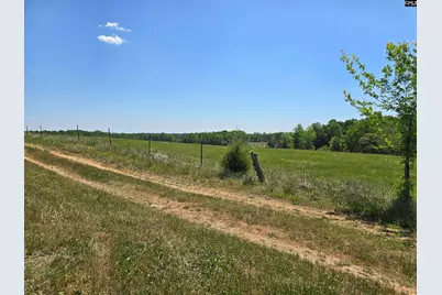542 Pea Ridge Highway, Jonesville, SC 29353 - Photo 22