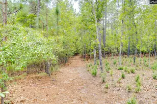 83 Foxwood Ln, Camden, SC 29020 - Photo 24