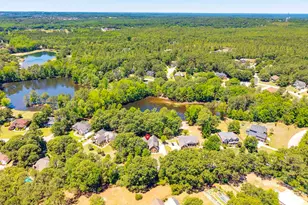 85 Stratford Plantation Dr, Elgin, SC 29045 - Photo 46
