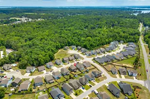 511 Connecticut Ave, Chapin, SC 29036 - Photo 52