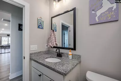 41 Elk Run Court, Chapin, SC 29036 - Photo 64