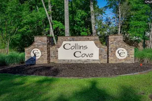 41 Elk Run Ct, Chapin, SC 29036 - Photo 32