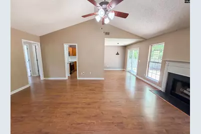 3 Summer Branch Court, Irmo, SC 29063 - Photo 8