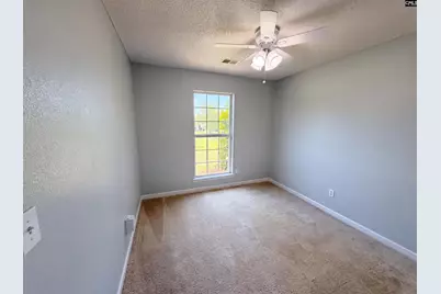 3 Summer Branch Court, Irmo, SC 29063 - Photo 16