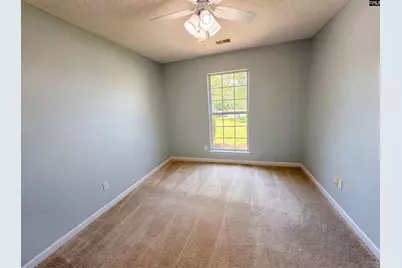 3 Summer Branch Court, Irmo, SC 29063 - Photo 14