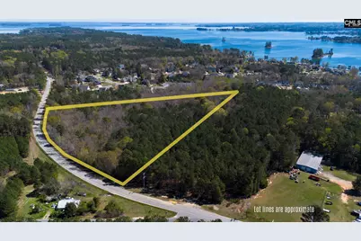 0 Shore Road, Gilbert, SC 29054 - Photo 4