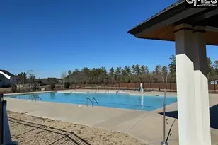 229 Sunny Hl Dr, Blythewood, SC 29016 - Photo 32
