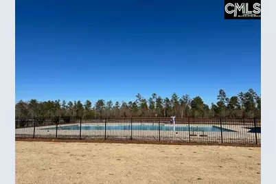 229 Sunny Hill Drive, Blythewood, SC 29016 - Photo 34