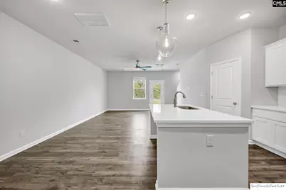 229 Sunny Hill Drive, Blythewood, SC 29016 - Photo 8