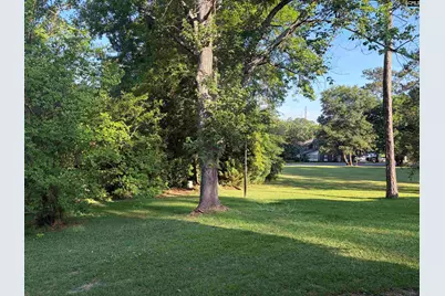 161 Jefferson Place, Columbia, SC 29212 - Photo 36