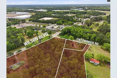 1020 Entziminger Road, Blythewood, SC 29016 - Photo 6