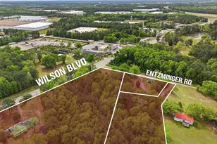 1020 Entziminger Rd, Blythewood, SC 29016 - Photo 6