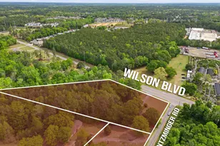 1020 Entziminger Rd, Blythewood, SC 29016 - Photo 4