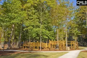 934 Battenkill Ct, Lexington, SC 29072 - Photo 42
