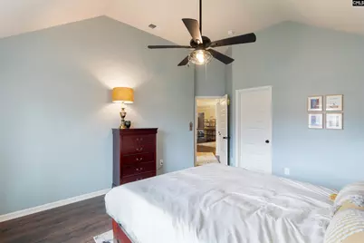 646 Village Market Drive, Chapin, SC 29036 - Photo 32