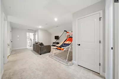 149 Collins Cove Drive, Chapin, SC 29036 - Photo 22