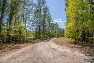 122 E Lonesome Pine Trail, Camden, SC 29020 - Photo 4