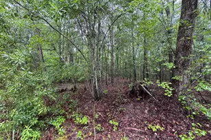 Oakhill 5, Eastover, SC 29044 - Photo 2