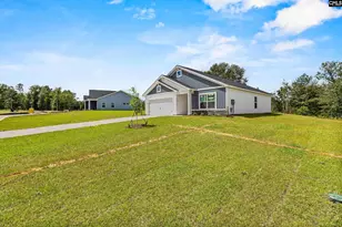 172 Calm Citadel Drive, Pelion, SC 29123 - Photo 2