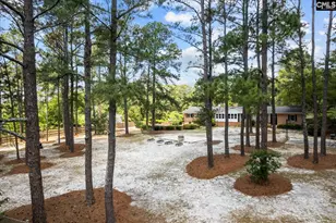 18 Sunturf Cir, Columbia, SC 29223 - Photo 62