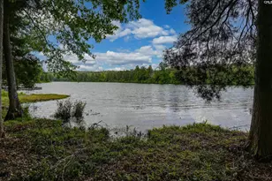 116 Living Waters Blvd, Lexington, SC 29073 - Photo 4