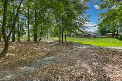 120 Living Waters Boulevard, Lexington, SC 29073 - Photo 4
