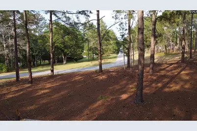0 Little Creek Drive, Leesville, SC 29070 - Photo 2