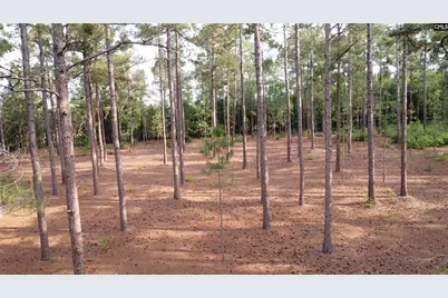 0 Little Creek Drive, Leesville, SC 29070 - Photo 10