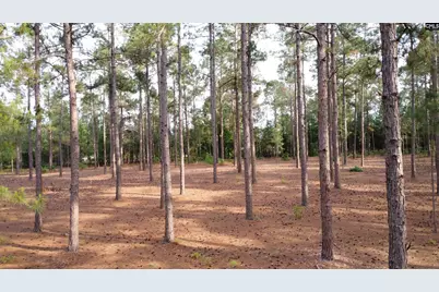 0 Little Creek Drive, Leesville, SC 29070 - Photo 8