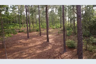 0 Little Creek Drive, Leesville, SC 29070 - Photo 12