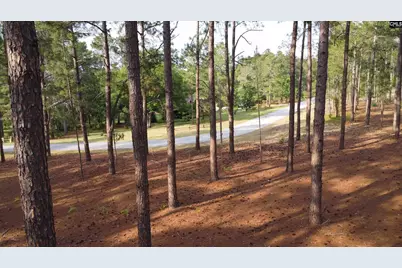 0 Little Creek Drive, Leesville, SC 29070 - Photo 14
