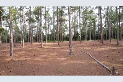 0 Little Creek Drive, Leesville, SC 29070 - Photo 6