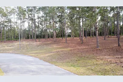 0 Little Creek Drive, Leesville, SC 29070 - Photo 4