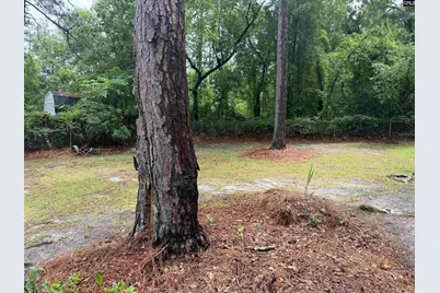 154 La Habra Lane, West Columbia, SC 20170 - Photo 20