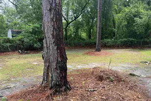 154 La Habra Ln, West Columbia, SC 20170 - Photo 20