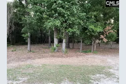 1155 Jones Wire Road, Swansea, SC 29160 - Photo 6