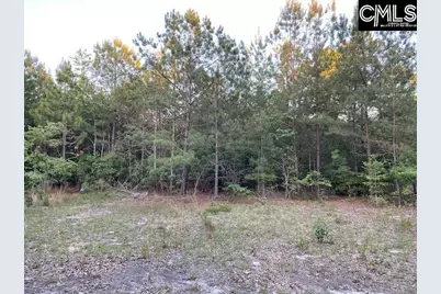 1155 Jones Wire Road, Swansea, SC 29160 - Photo 2