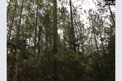 Old Cherokee Road, Blair, SC 29015 - Photo 16
