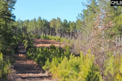 Mobley Highway, Winnsboro, SC 29180 - Photo 22