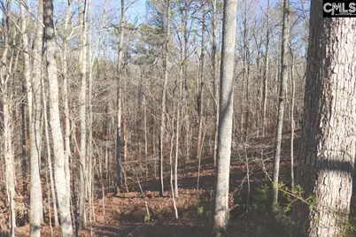 Mobley Highway, Winnsboro, SC 29180 - Photo 18
