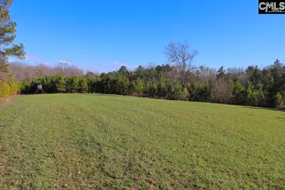 Mobley Highway, Winnsboro, SC 29180 - Photo 6