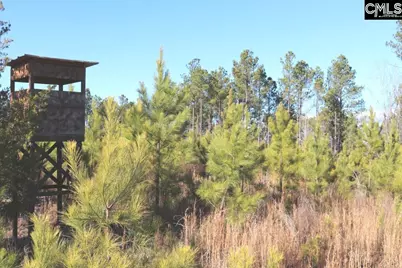 Mobley Highway, Winnsboro, SC 29180 - Photo 20