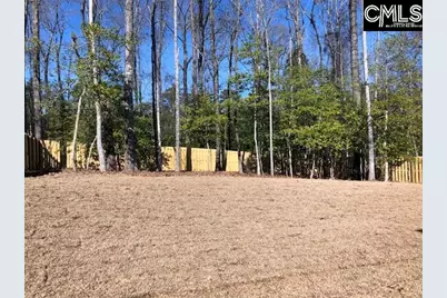 172 Sunsation Drive, Chapin, SC 29036 - Photo 14