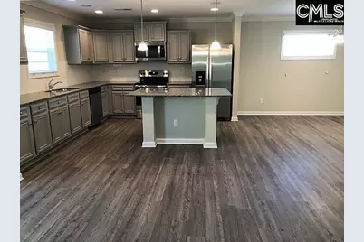 172 Sunsation Drive, Chapin, SC 29036 - Photo 6