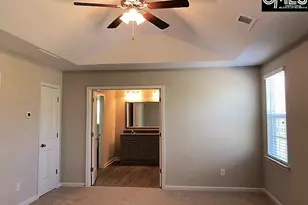172 Sunsation Dr, Chapin, SC 29036 - Photo 10