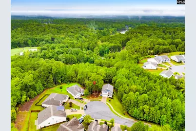 794 Carolina Aster Drive, Blythewood, SC 29016 - Photo 2
