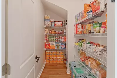 733 N Pinewalk Way, Elgin, SC 29045 - Photo 20