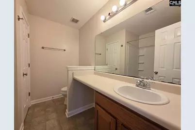 559 Foxstone Drive, Chapin, SC 29036 - Photo 20