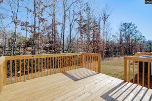 247 Honey Hill Way, Blythewood, SC 29016 - Photo 4