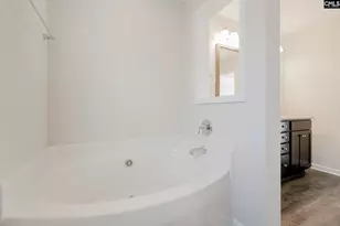 247 Honey Hill Way, Blythewood, SC 29016 - Photo 22